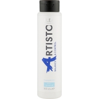Шампунь для волосся, проти лупи Elea Professional Artisto Anti-Dandruff Shampoo