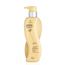Шампунь безсульфатний для волосся з ромашкою Bogenia Sulfate Free BG461